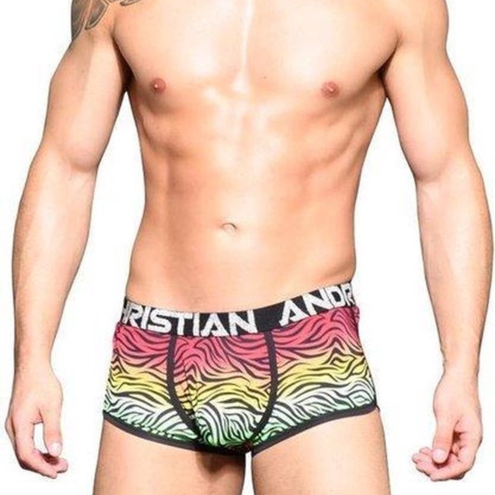 Andrew Christian Pride Zebra Boxer